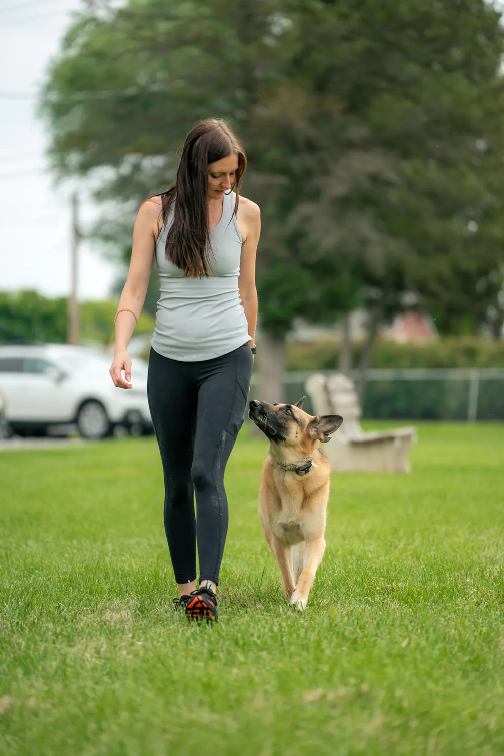 Trainer walking a dog at heel on a field