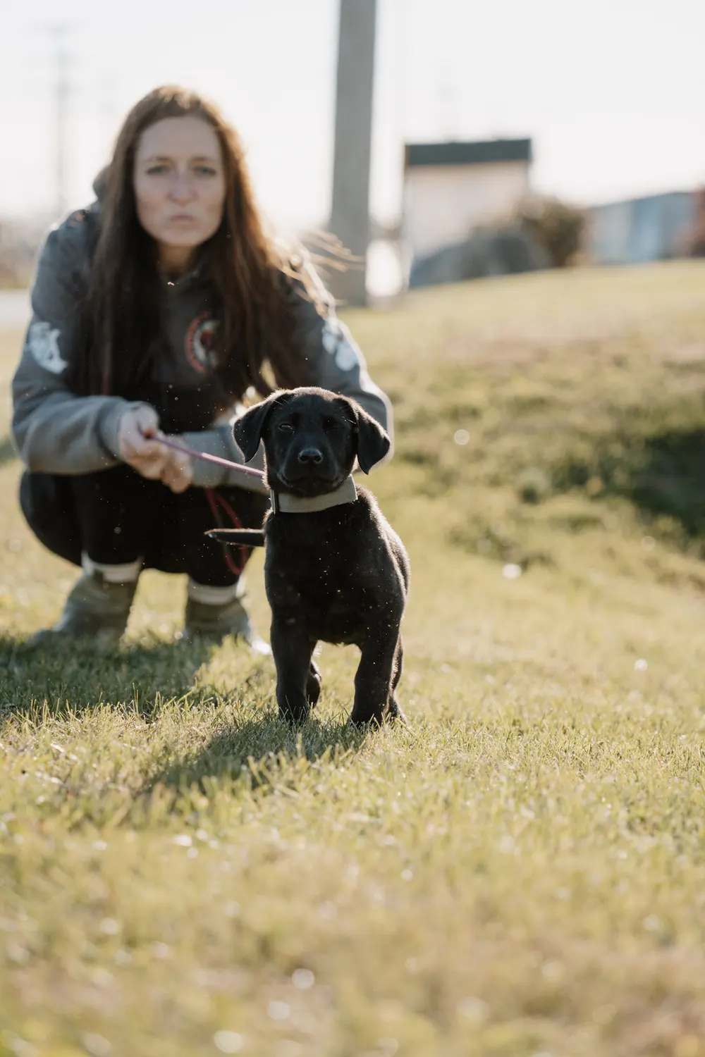 Trainer crouching beside a dog in a sit
