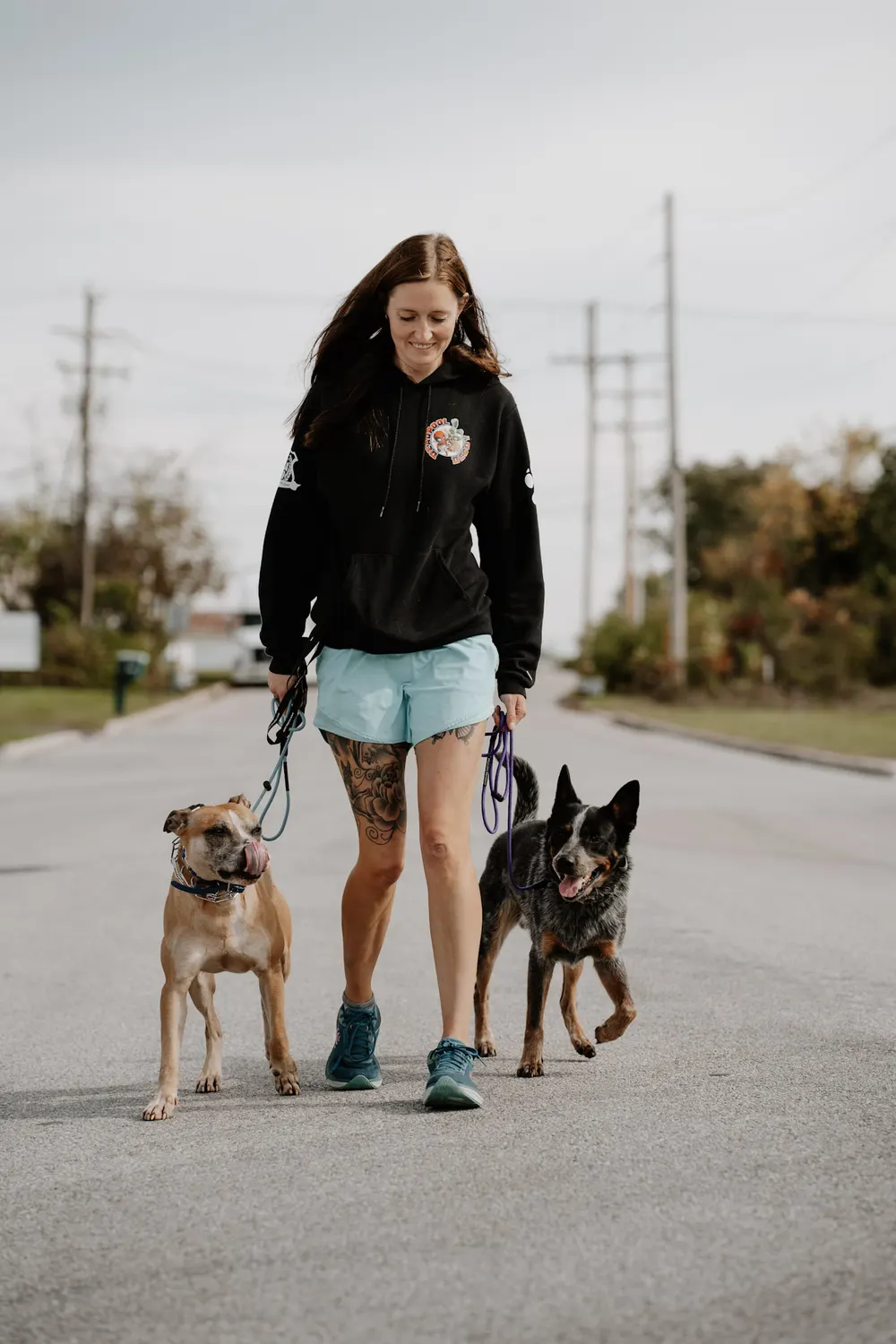 Trainer walking two dogs calmly down a road