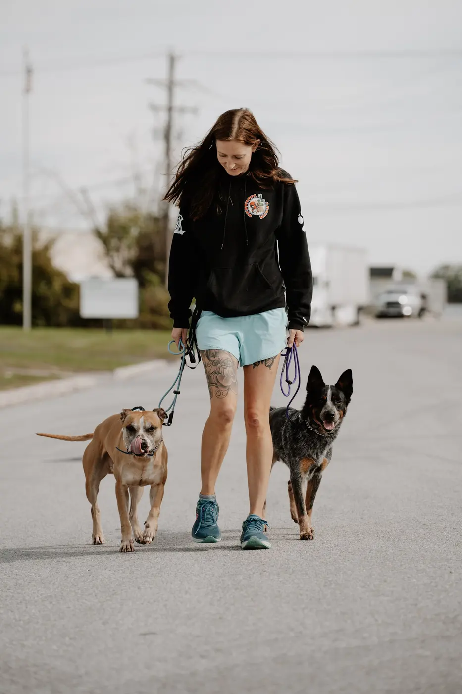 Trainer walking two dogs calmly down a road
