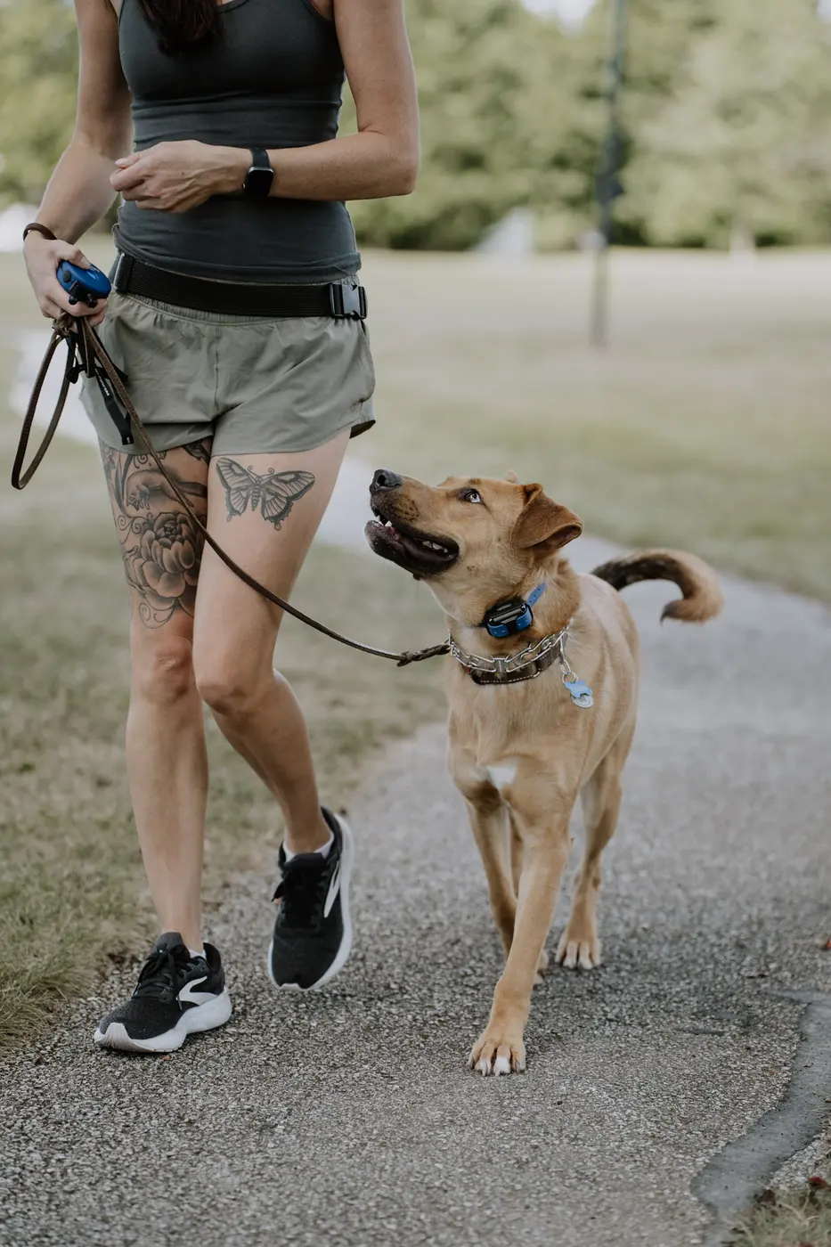 Trainer walking a dog at heel on a path