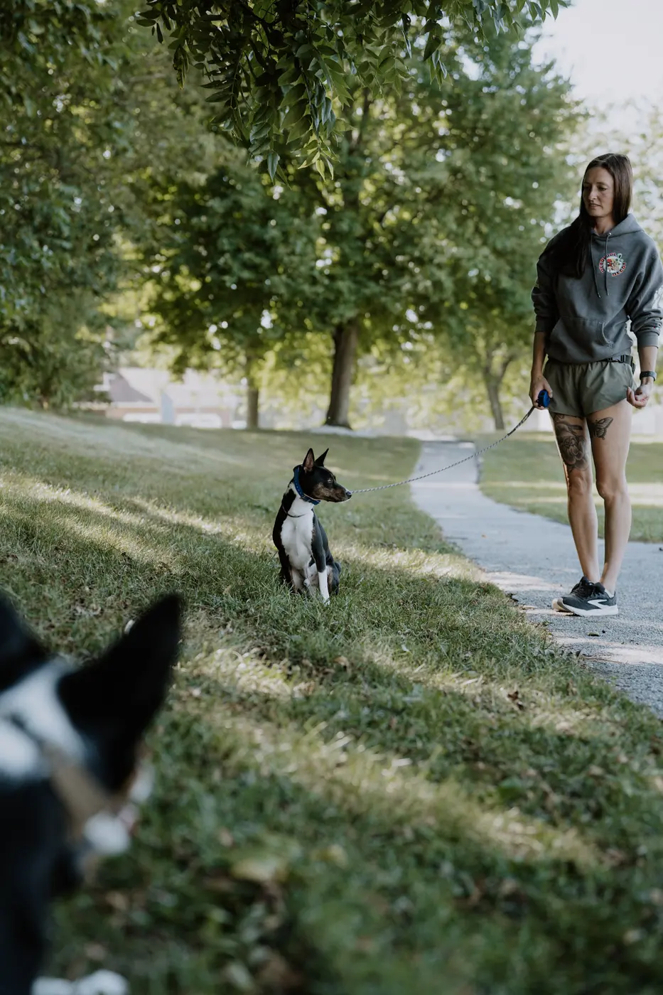 Trainer walking a dog along a path