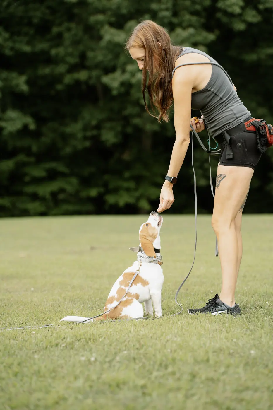 Trainer rewarding a dog on a field