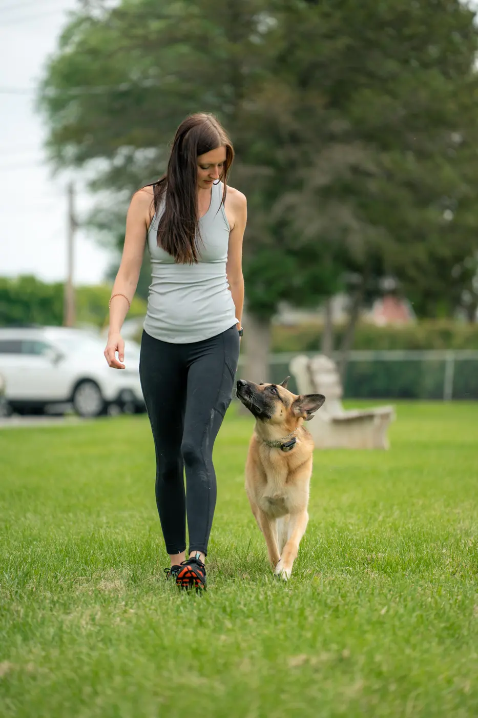 Trainer walking a dog on a field